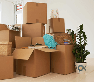 Горка из картонных коробок и ваза возле неё